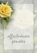 &Eacute;l&eacute;gantes fleurs pour un doux r&eacute;confort